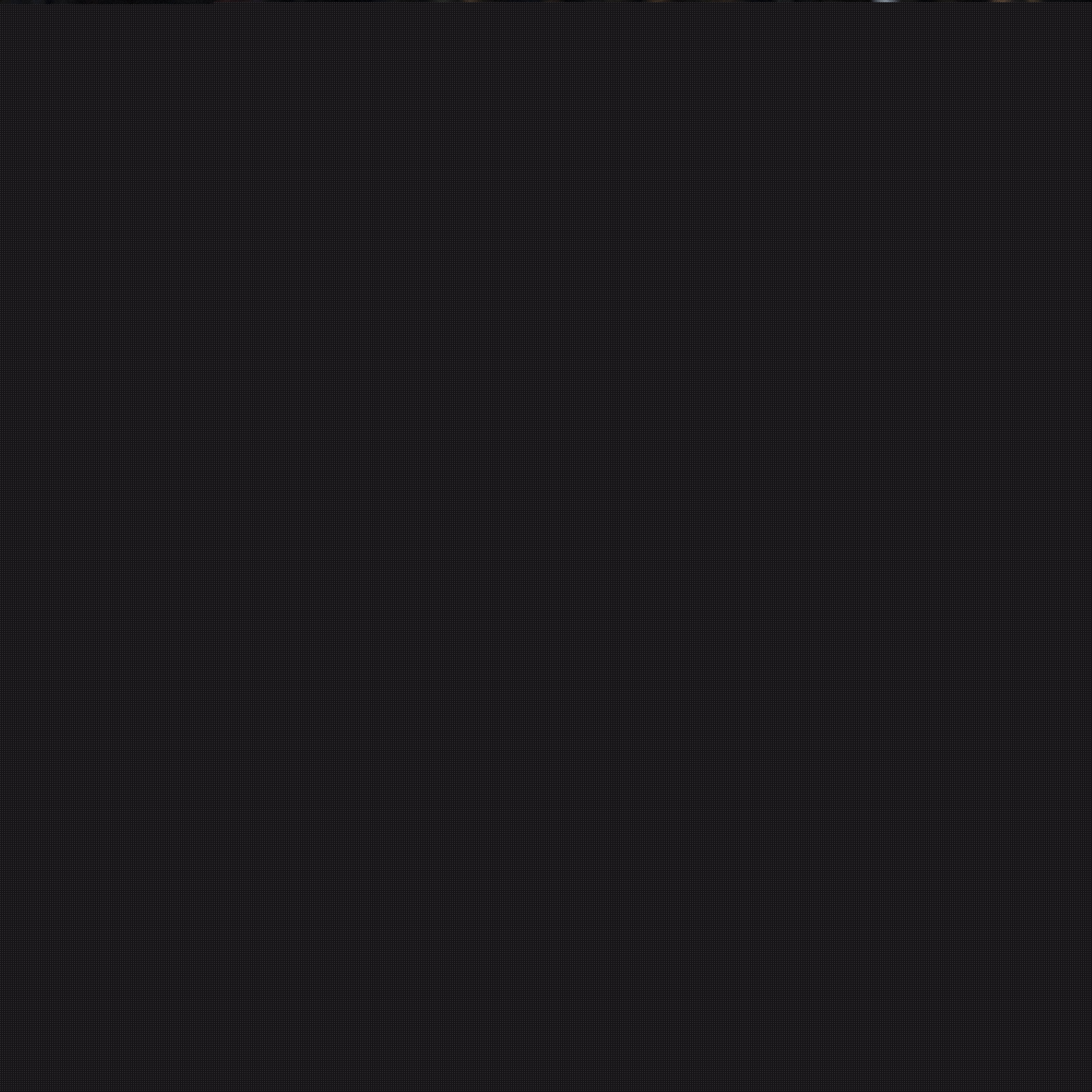 技能正在持